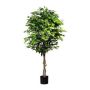 Artificial tree Ficus benjamina ARNOMO, natural stems, 6ft/180cm