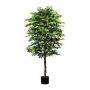 Artificial tree Ficus benjamina ARNOMO, natural stems, 7ft/210cm