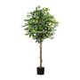 Decorative tree Ficus benjamina ONIN, natural stems, 6ft/180cm
