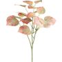 Decorative branch Black poplar SOLVEN, red-green, 24"/60cm