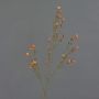 Artificial wax flower NIANG, orange-red, 31"/80cm, Ø0.8" - 1.2"/2-3cm