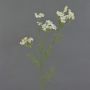 Artificial Wild Carrot KALOMIRA, white, 33"/85cm