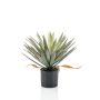 Artificial yucca KOUKI, 20"/50cm
