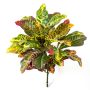 Plastic croton TAAWI on spike, multicoloured, 22"/55cm