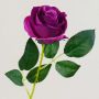 Silk rose SEENSA, dark purple, 22"/55cm, Ø 2.8"/7cm