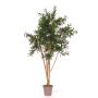 Artificial acacia ANDRIY with real stems, crossdoor, green, 4ft/125cm - Made in Italy