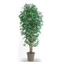 Decorative Ficus Benjamina LEONORET, real stems, green-white, 5ft/150cm - Made in Italy