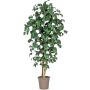 Artificial camellia JASMINDE, natural stems, with flowers, white, 4ft/125cm - Made in Italy