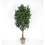 Decorative pittosporum MINIKALINA, real stems, green, crossdoor, 4ft/125cm - Made in Italy