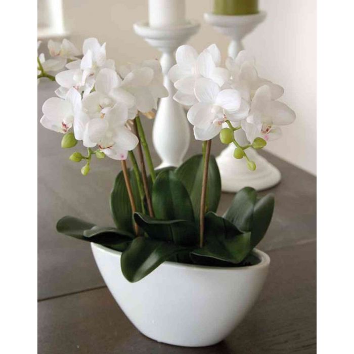 Phalaenopsis Artificial Orchid in White Bowl 25cm Cream 
