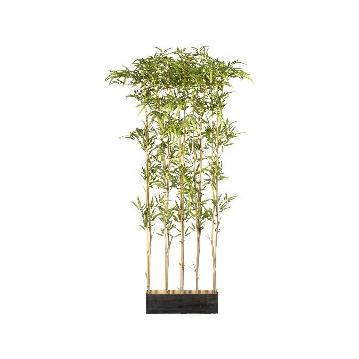 Puneh Artificial umbrella bamboo room divider PUNEH in wooden box, crossdoor ...
