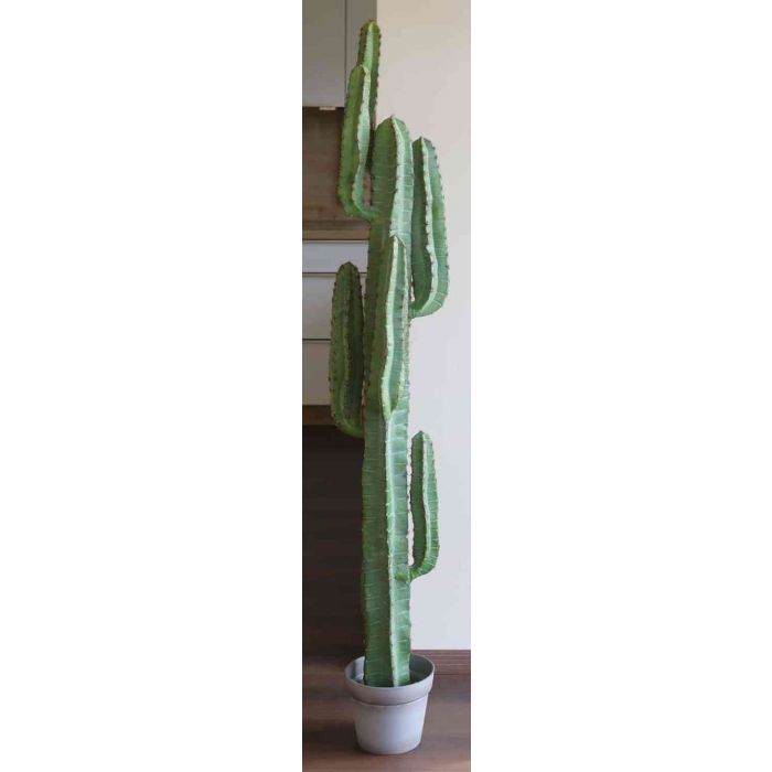 temporary Previous Michelangelo Plastic cactus OLIVERO, in decorative pot, green, 160cm - Fake succulents