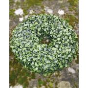 Artificial boxwood wreath HEINZ, Ø13"/32cm
