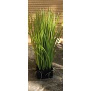Plastic reed grass WILLHELM in soil ball, green, 10"/25cm