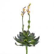 Plastic aeonium CHARLIZE with flowers, spike, pink, 30cm