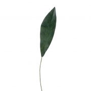 Fake Aspidistra leaf PAISA, 30"/75cm