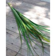Artificial pampas grass bundle MARCELINO, spike, green, 20"/50cm
