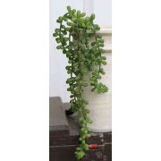 Plastic senecio hanging plant TERRI, spike, green, 16"/40cm
