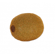Artificial kiwi GIANNO, brown-green, 2.4"/6cm, Ø 1.6"/4cm
