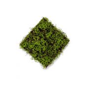 Artificial moss mat MIRANDILA, green, 20"x20"/50x50cm