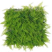 Artificial fern and cypress hedge / mat DIANTHA, crossdoor, 20"x20"/50x50cm