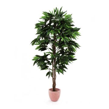 Artificial Mango tree BALDO, natural stems, green, 6ft/180cm