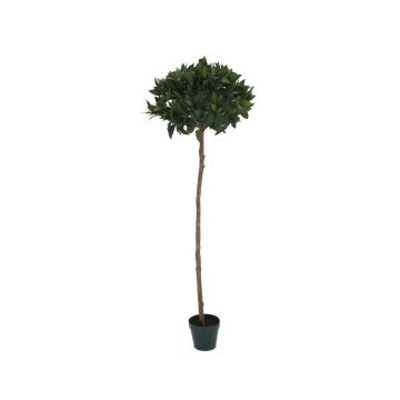 Plastic Laurel tree THISSEAS, natural stem, 6ft/180cm, Ø 24"/60cm