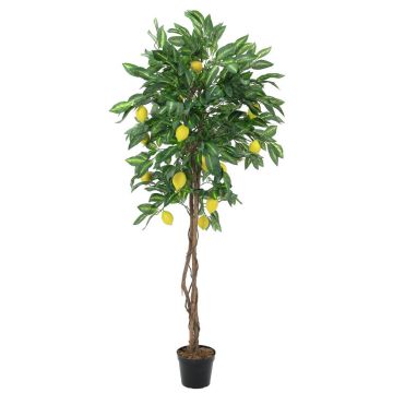 Artificial Lemon tree ZOYA, natural stems, fruits, 6ft/180cm