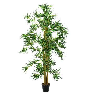 Plastic Bamboo plant HIROKO, natural stems, green, 5ft/150cm