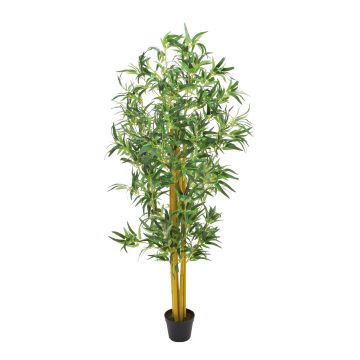 Plastic Bamboo plant HIROKO, natural stems, green, 6ft/180cm