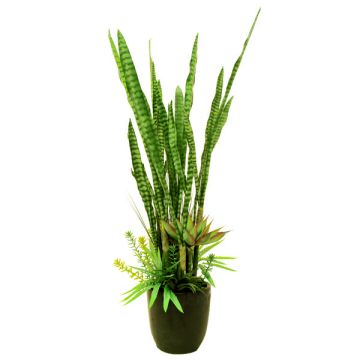 Fake set of succulents JOEY, in decorative pot, green, 6ft/190cm