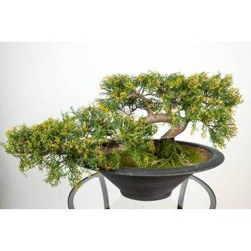 Fake Bonsai cedar GABRIA, aerial roots, decorative bowl, 16"/40cm