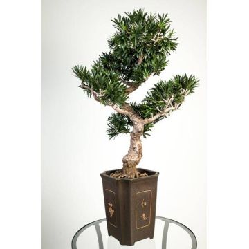 Artificial Bonsai Podocarpus TRISTAN, aerial roots, decorative pot, 3ft/90cm