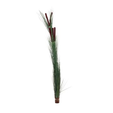 Plastic reed grass DIVO with spadices, spike, dark green, 5ft/150cm