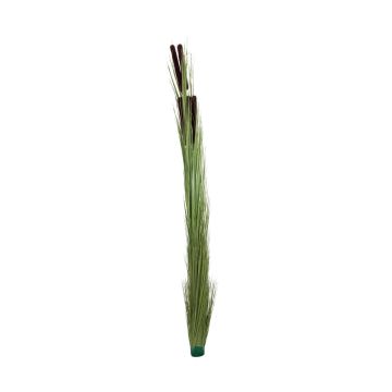 Plastic reed grass DIVO with spadices, spike, light green, 5ft/150cm