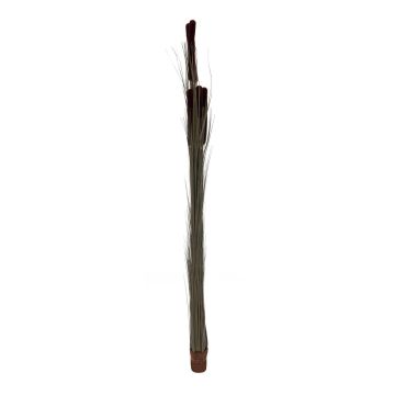 Plastic reed grass DIVO with spadices, spike, green-brown, 5ft/150cm