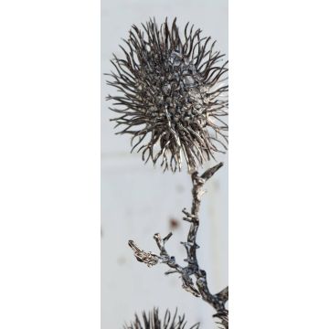 Artificial rambutan fruit branch WARDA, brown-white, 24"/60cm