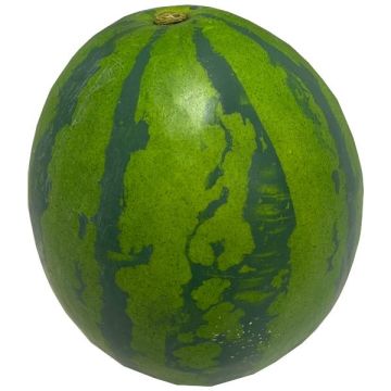 Decorative fruit Watermelon BERCA, green, Ø6"/15cm