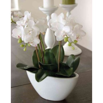 Artificial Phalaenopsis orchid JASMIN in ceramic bowl, white, 16"/40cm