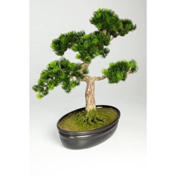 Artificial Japanese Bonsai Pine MELDIN, aerial roots, planter, 16"/40cm