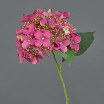 Artificial hydrangea CALESA, fuchsia, 20"/50cm