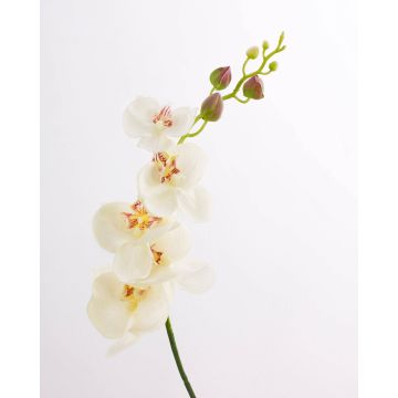 Fake sprig of orchid DAJANA, cream-white, 3ft/90cm, Ø2.4"-4.3"/6-11cm
