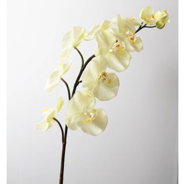 Fake sprig of orchid FIDELIA, cream, 4ft/110cm, Ø2.8"-4.7"/7-12cm