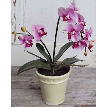 Artificial orchid Phalaenopsis ZAHRA, decorative pot, light pink, 20"/50cm