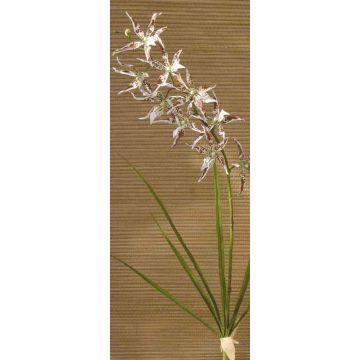 Artificial Odontoglossum orchid ZOFIA, spike, cream-brown, 3ft/105cm