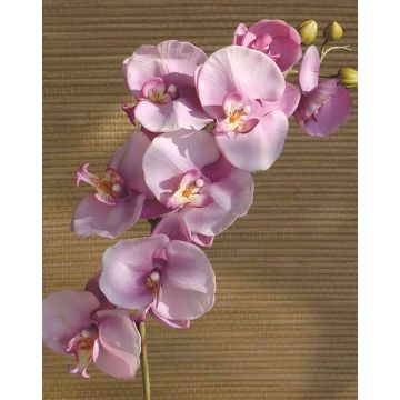 Artificial Phalaenopsis orchid spray RICKY, light pink, 3ft/105cm