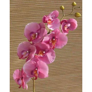 Artificial Phalaenopsis orchid spray RICKY, pink, 3ft/105cm