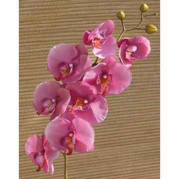 Artificial Phalaenopsis orchid spray RICKY, pink, 3ft/105cm