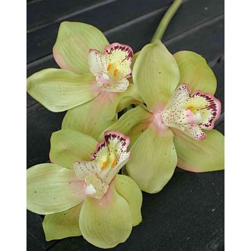 Artificial Cymbidium orchid spray SERAPHINA, green-light pink, 18"/45cm