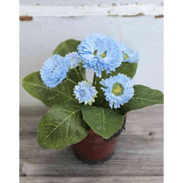 Artificial daisies MORGANA, terracotta pot, light blue, 6"/15cm